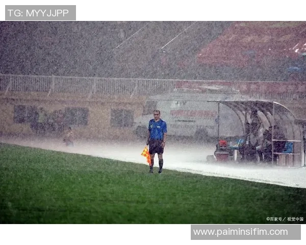 足球场上突然倒地死亡的球星背后隐藏的真相与悲剧故事